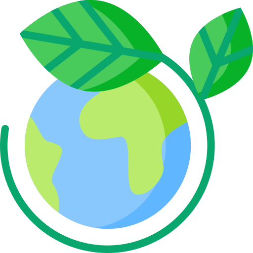 $55 Environmental fee